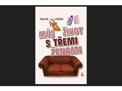 Můj život s třemi ženami (Stav Použité zboží - Běžné opotřebení)