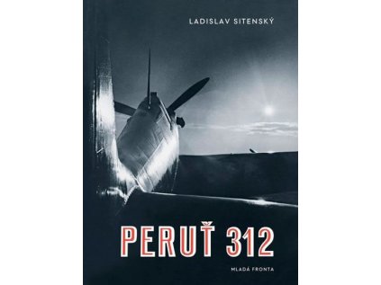 Peruť 312 (Stav Nová)
