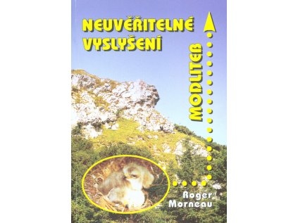 Neuvěřitelné vyslyšení modliteb: pravdivé příběhy o tom, jak Boží moc změnila lidské život (Stav Použité zboží - Běžné opotřebení)