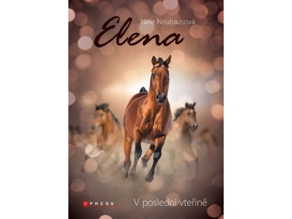 Elena V poslední vteřině (Stav Použité zboží - Běžné opotřebení)