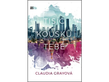 Tisíc kousků tebe (Stav Použité zboží - Běžné opotřebení)