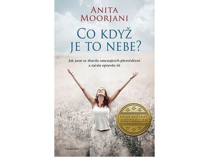 Co když je to nebe? (Stav Použité zboží, běžné opotřebení)