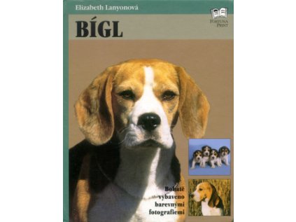 Bígl (Stav Použité zboží - Běžné opotřebení)