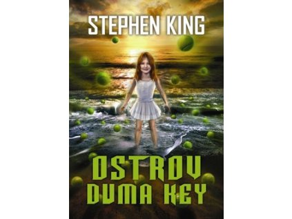 Ostrov Duma Key (Stav Použité zboží - Běžné opotřebení)