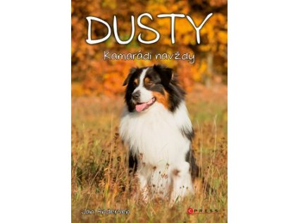 Dusty Kamarádi navždy (Stav Použité zboží - Běžné opotřebení)