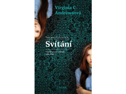 Svítání (Stav Použité zboží - Jako nová)