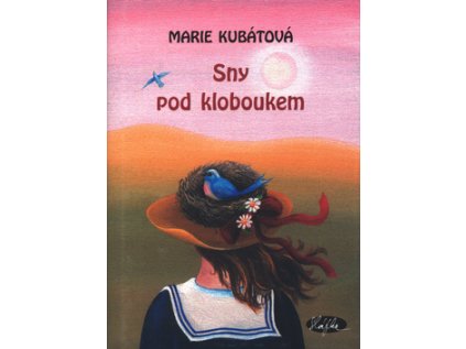 Sny pod kloboukem (Stav Použité zboží - Jako nová)
