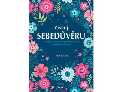 Získej sebedůvěru - Posilujte sebevědomí prostřednictvím všímavosti a meditace (Stav Použité zboží - Běžné opotřebení)