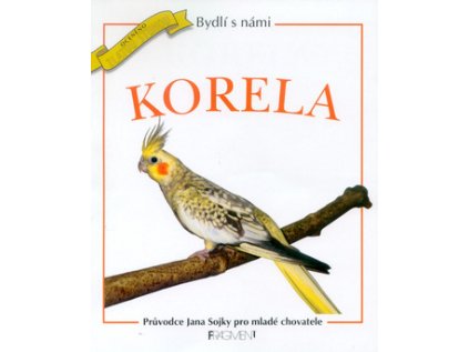 Korela