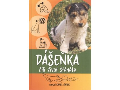 Dášeňka čili život štěněte (Stav Použité zboží - Běžné opotřebení)