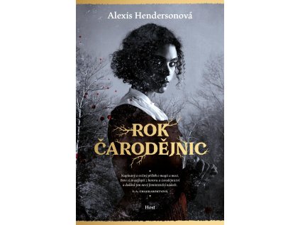 Rok Čarodějnic (Stav Použité zboží - Jako nová)