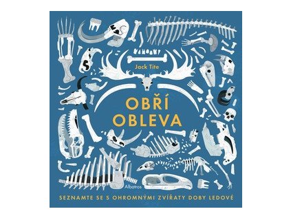 Obří obleva (Stav Nová)