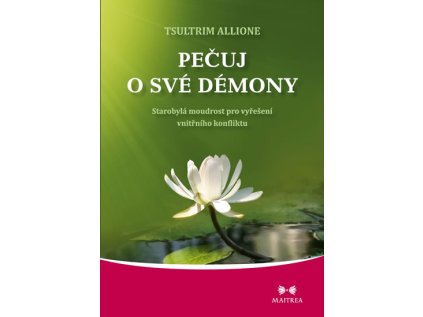 Pečuj o své démony - Starobylá moudrost pro vyřešení vnitřního konfliktu (Stav Použité zboží - Běžné opotřebení)