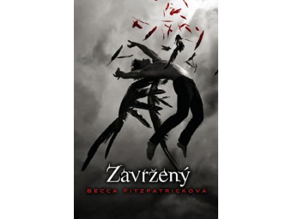 Zavržený (Stav Použité zboží - Běžné opotřebení)