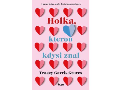 Holka, kterou kdysi znal (Stav Použité zboží - Jako nová)