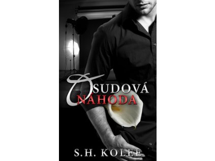 Osudová náhoda (Stav Použité zboží - Jako nová)