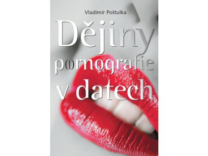 Dějiny pornografie v datech (Stav Použité zboží - Jako nová)