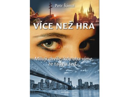 Více než hra (Stav Použité zboží - Jako nová)