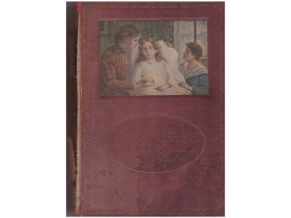 Domácí lékařka (Stav Použité zboží, Běžné opotřebení)