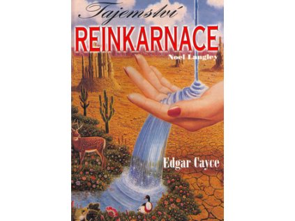 Tajemství reinkarnace (Stav Použité zboží - Běžné opotřebení)