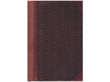 Kulturní poměry na Moravě 1197-1305 (Stav Použité zboží, Běžné opotřebení)