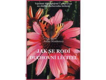Jak se rodí duchovní léčitel (Stav Použité zboží, běžné opotřebení)
