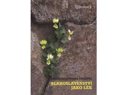 Blahoslavenství jako lék (Stav Použité zboží - Běžné opotřebení)