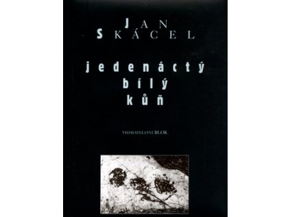 Jedenáctý bílý kůň (Stav Použité zboží - Běžné opotřebení)