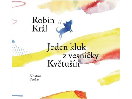 Jeden kluk z vesničky Květušín (Stav Nová - lehce poškozená)