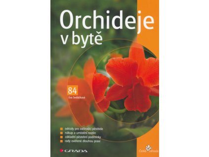 Orchideje v bytě (Stav Použité zboží - Běžné opotřebení)