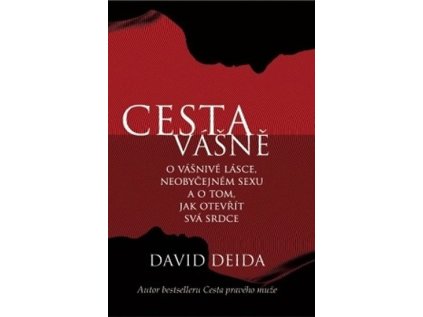 Cesta vášně - O vášnivé lásce, neobyčejném sexu a o tom, jak otevřít svá srdce (Stav Použité zboží - Běžné opotřebení)