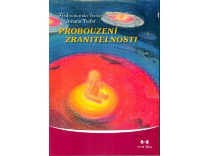 Probouzení zranitelnosti (Stav Použité zboží - Běžné opotřebení)