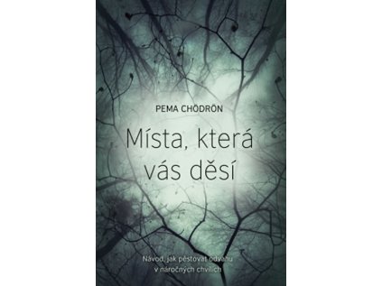 Místa, která vás děsí - Návod, jak pěstovat odvahu v náročných chvílích (Stav Použité zboží - Jako nová)