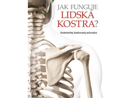 Jak funguje lidská kostra? - Anatomický ilustrovaný průvodce (Stav Použité zboží - jako nová)