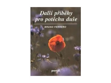 Další příběhy pro potěchu duše (Stav Použité zboží - Jako nová)