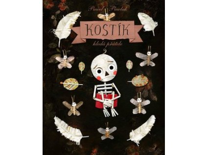 Kostík hledá přátele (Stav Použité zboží - Běžné opotřebení)