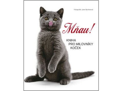 Mňau! (Stav Použité zboží - Běžné opotřebení)