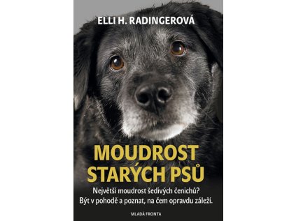 Moudrost starých psů - Největší moudrost šedivých čenichů? Být v pohodě a poznat, na čem o (Stav Nová)