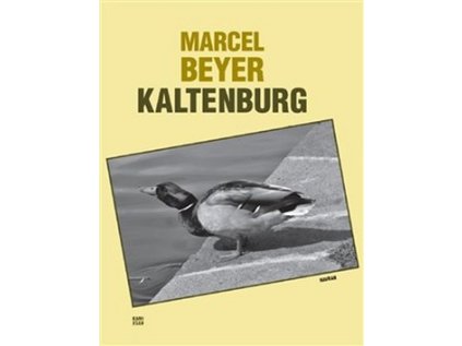 Kaltenburg (Stav Nová - Mírně mechanicky požkozená)