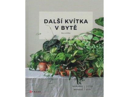 Další kvítka v bytě - Ruce od hlíny (Stav Nová - Mírně mechanicky požkozená)