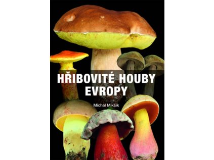 Hřibovité houby Evropy (Stav Nová - Mírně mechanicky požkozená)