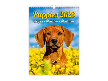 Kalendář Štěňátka 2026 (Stav Nová)