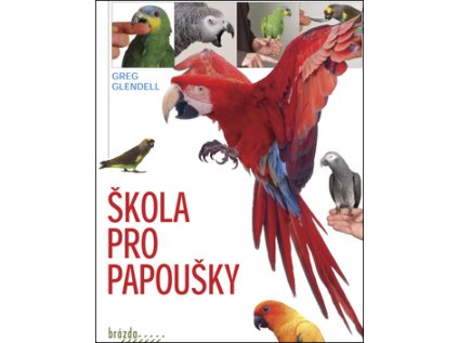 Škola pro papoušky (Stav Použité zboží - Běžné opotřebení)