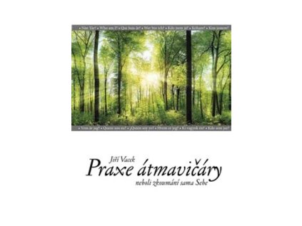 Praxe átmavičáry (Stav Použité zboží - Běžné opotřebení)