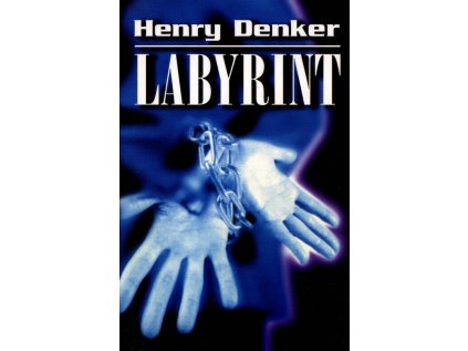 Labyrint (Stav Použité zboží - Běžné opotřebení)