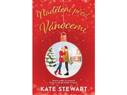 Nadělení před Vánocemi (Stav Nová)