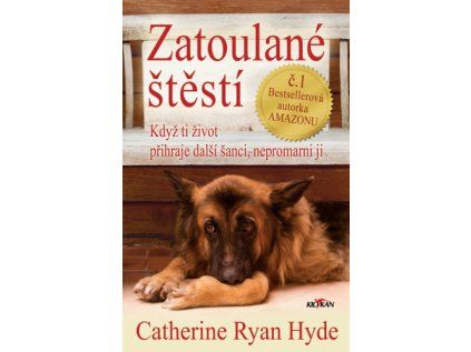 Zatoulané štěstí (Stav nová)