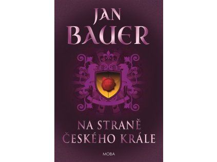 Na straně českého krále (Stav Nová)