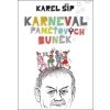 Karneval paměťových buněk (Stav Nová - lehce poškozená)