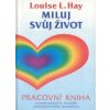 Miluj svůj život: pracovní kniha (Stav Použité zboží - běžné opotřebení)